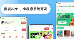 小程序+App开发+软件开发 小程序+App开发+软件开发